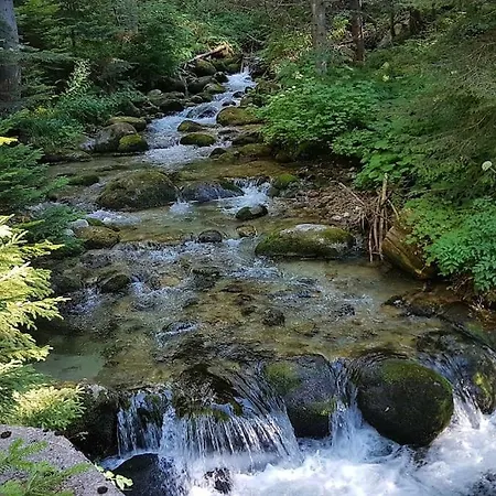 Gæstehus Duvaro Raduil